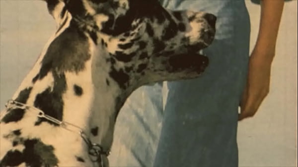 'Beauty & The Beast', My Secret Life 