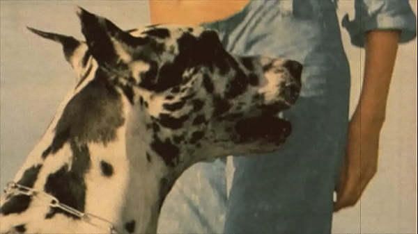 Play MP4 - Dark Lantern Entertainment presents