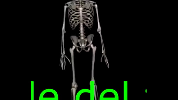 Nonton Baile Del Trolleo thumbnail