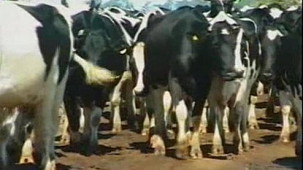 Haciendo Dedo - con Luciano Roggio 