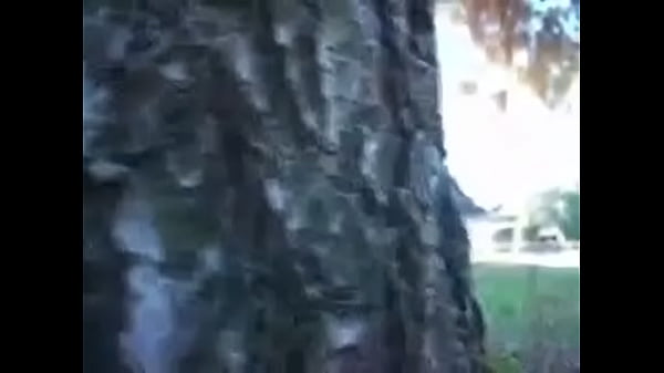 Sahara K Is Stalked thumbnail