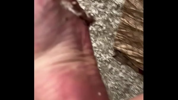 Maisa Pravo em Comemorando Aniversario de 30 - Gratis 