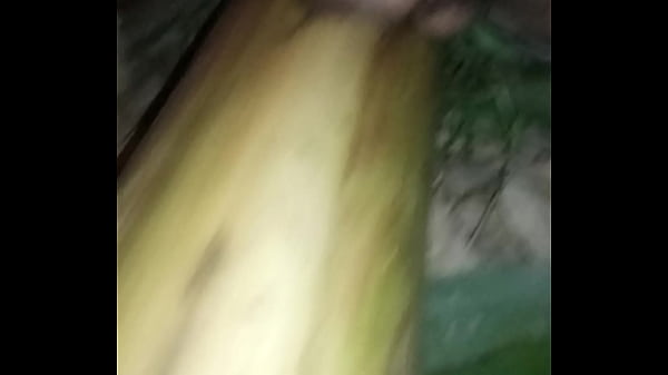 Huutop v&agrave_ c&acirc_y chuối part1