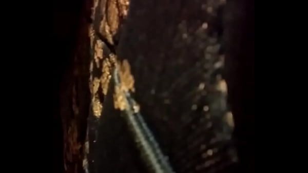 Play MP4 - Riding my poney