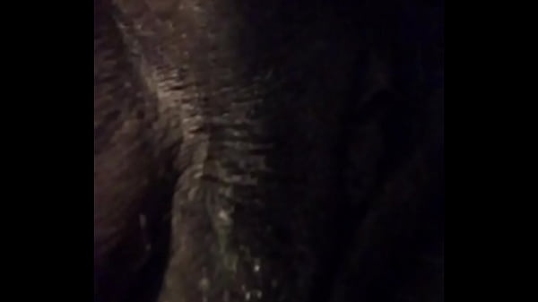 Play MP4 - Thunder Cat