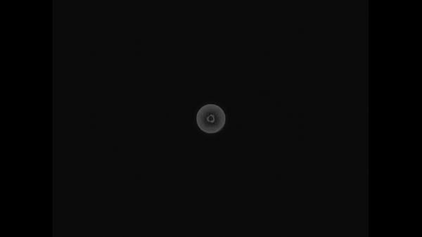 Nonton Novinha Sedutora thumbnail