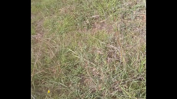 Nonton Kipkoechk thumbnail