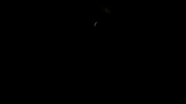 They Love Me Shawty thumbnail