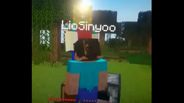 Me pagou um boquete no minescrafiti e olha no que deu