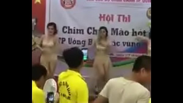 thi_chim mới nhất thế_này thì chim hót cã_ngày