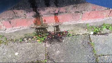 I Pee In Public Place thumbnail