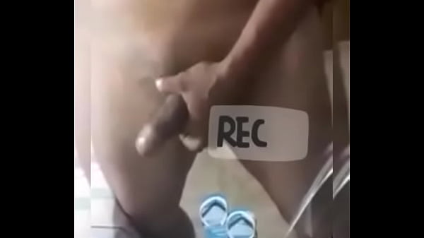 Perro negro