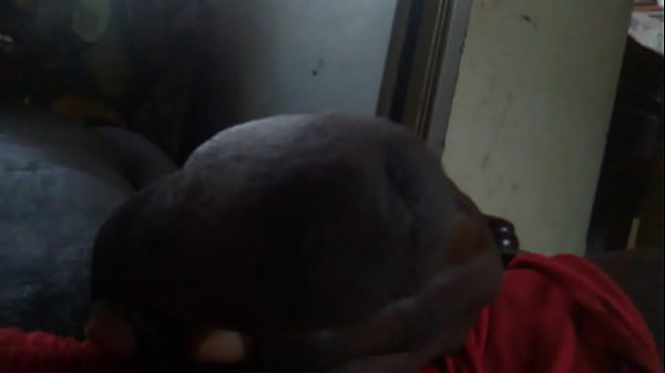 Love masturbations