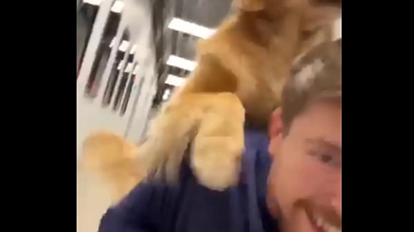 Play MP4 - Ellie detona a MrBeast