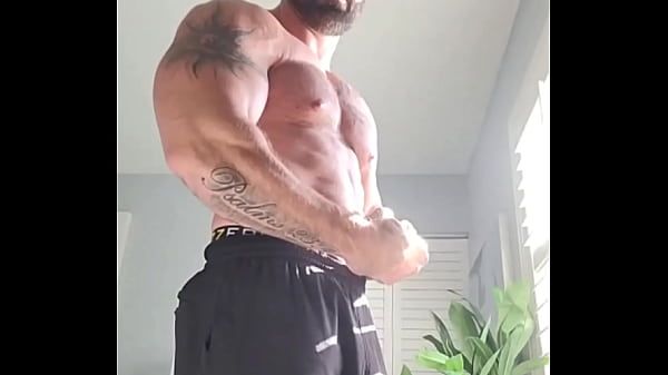 #humpday update #33 2024 11 13t16 11 21 000z 