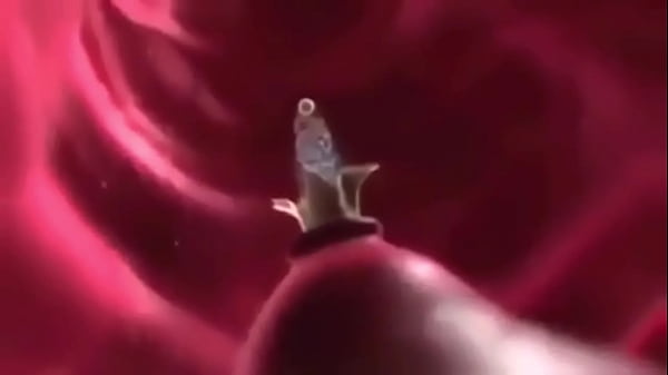 Savage Garden Truly Madly_Deeply_AMV