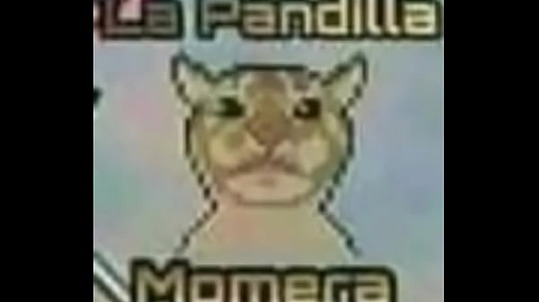 critica ala pandilla momera