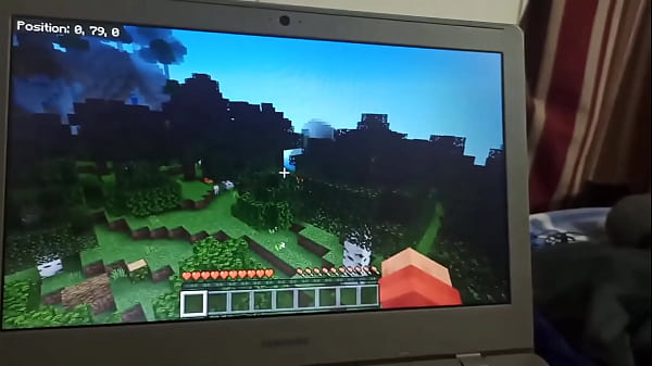 Un recopilatorio de versiones desconocidas de minecraft 