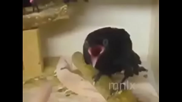 Nonton What Is Her Name??? thumbnail