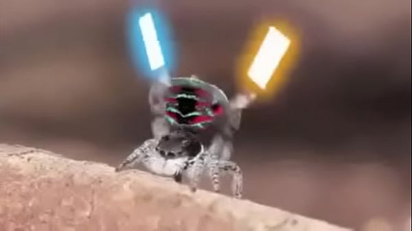 Video bokep part 76742633 