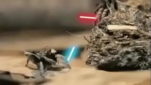 Video bokep part 76742633 