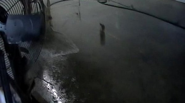 Nonton Renegade Warehouse Waterpark In Compton thumbnail