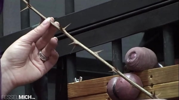 Verh&ouml;r des sklaven mit hodenpranger hodenschmerzen und vielem mehr damit er endlich gesteht und bereit ist seine vergehen zuzugeben