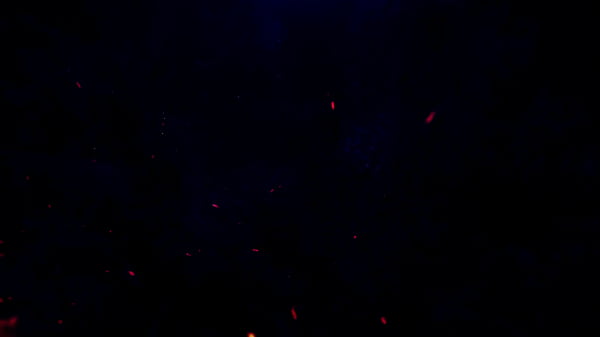 Nonton Emily White Gets Fucked By Two Huge Black Dicks, Bbc, Anal, Deep Balls thumbnail