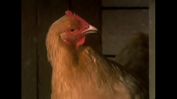 el doctor que habla con los 