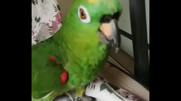 Juanita Simp de Areli 