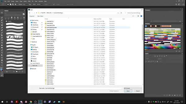 Sts broadcast by dc on picarto from april thirtieth 2021 