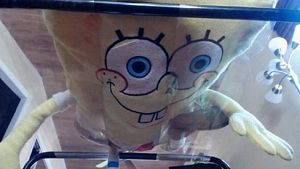 Request from joebig099 aedanrayne 2