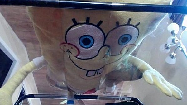 Request from joebig099 aedanrayne 2 