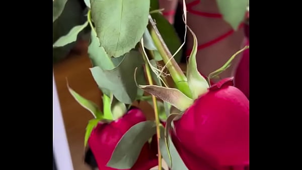 Nonton Morena Gostosa thumbnail