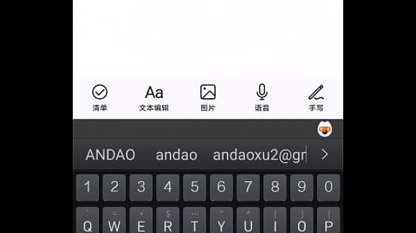 验证视频