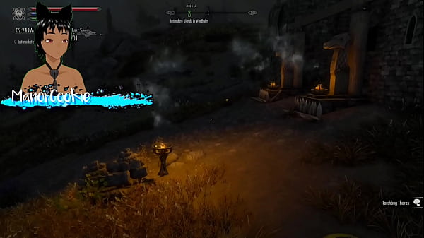 Skyrim b and l mod going on a quest from the companions and meeting and fucking someone along the way 