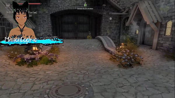 Skyrim b and l mod going on a quest from the companions and meeting and fucking someone along the way 