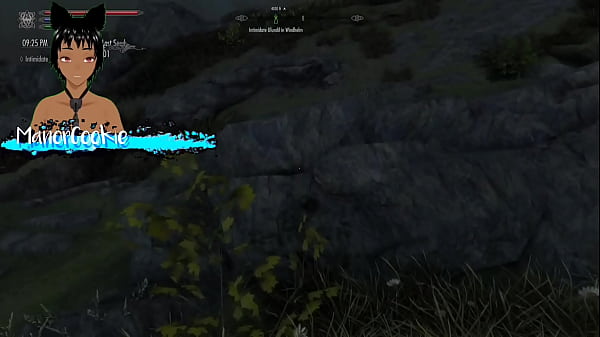 Play MP4 - Skyrim B and L mod - Going on a quest from the companions and meeting and fucking someone along the way