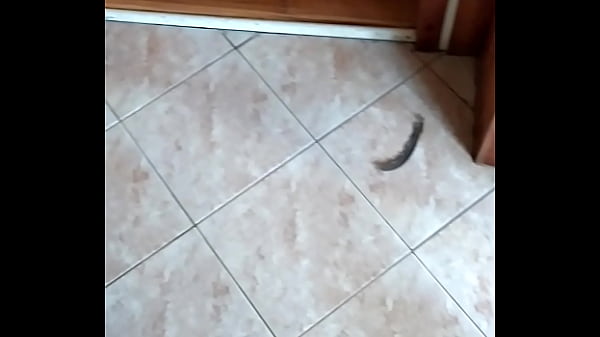 Ověřovac&iacute; video 