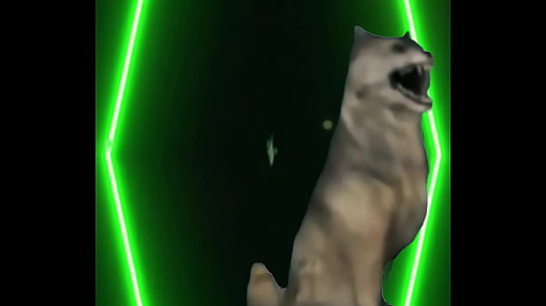 Even the snow queen needs a cheat day cool calm&hellip; and a little hungry