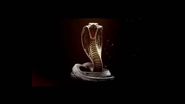 Play MP4 - Just Couldn't Wait&colon; Katrina Thicc and King Cobra