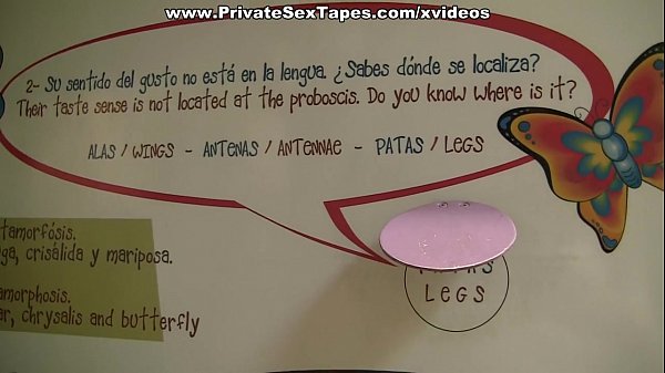 Play MP4 - Amateur anal sex after a super hot sex show scene 1