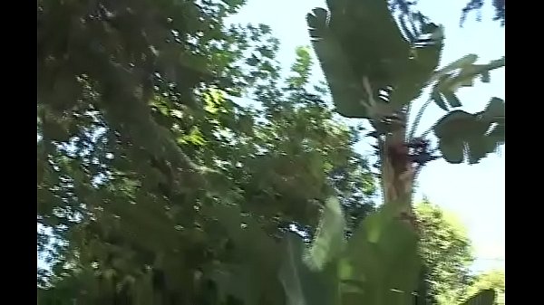 Nonton Hcvt0407-4430 thumbnail