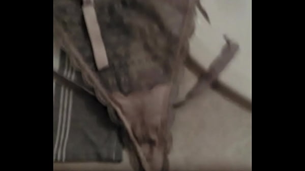 Leche en dirty panties 