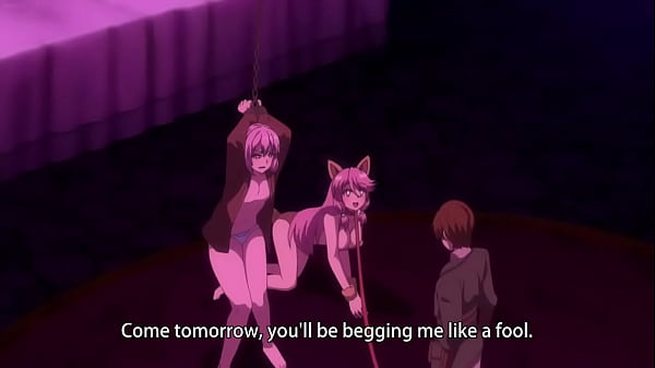 Rifare il Guaritore 12 