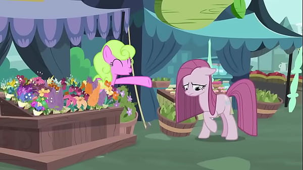 La magia de la amistad 