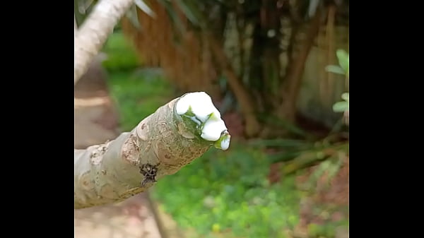 Tronco vertendo leite  1234Next SEXBOKEP adalah Website Bokep Indonesia Terbaru dan Terlengkap Gratis dimana Anda dapat menonton streaming video bokep dan download vidio bokep terbaru yang sedang viral dengan aplikasi bokep android, Aplikasi bokep free download simontok app terbaru 2026 for PC Mobile Online dan HP     Contact Us   DMCA   Disclamer   Privacy and Policy   Conditions of Use  &copy; 2026 SEXBOKEP All rights reserved