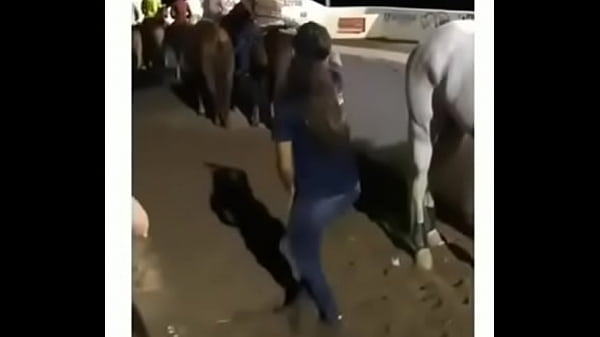 V&iacute_deo de verifica&ccedil_&atilde_o