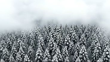 Nonton The Chronicles Of Pornarnia: The Satyr, The Bitch And The Jerk-off Wardrobe thumbnail