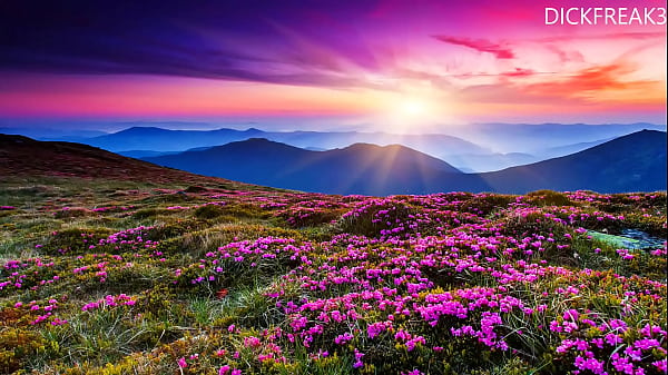 Nonton Fucking Case In Every Corny Of The House On A Chrismas Day. Part On Red thumbnail